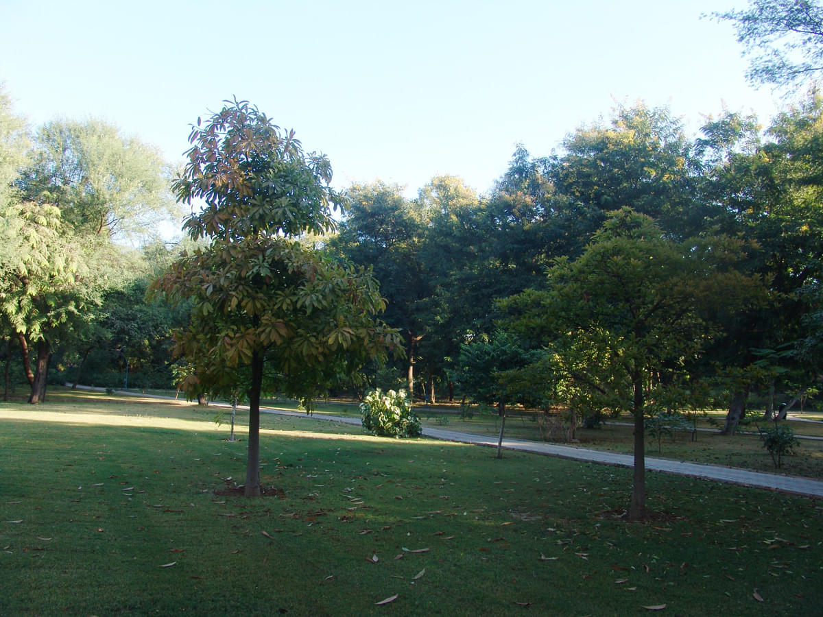 DAIICT Campus photo 11